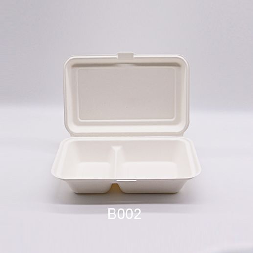 Bagasse box 9''*6'' 2-c